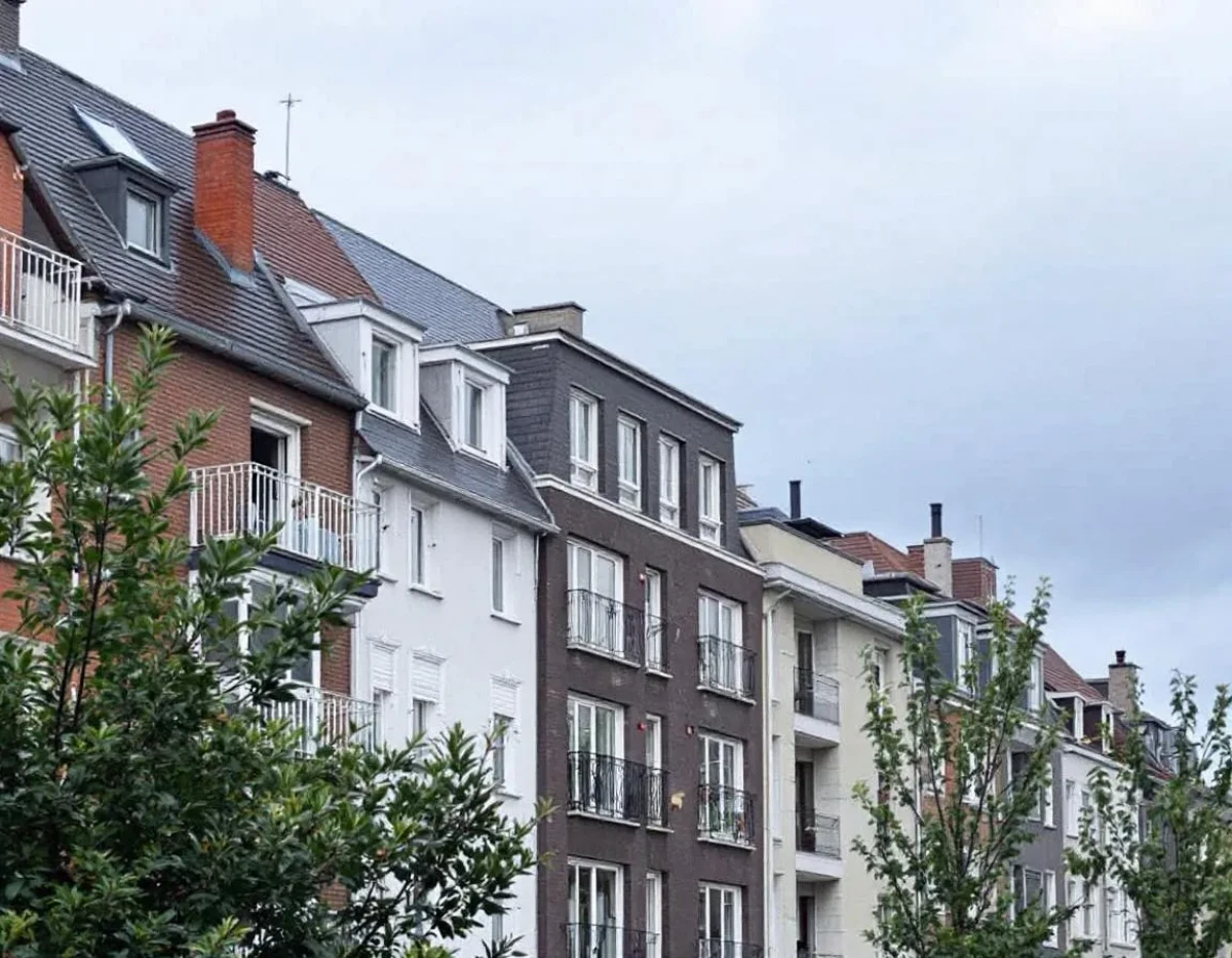 Litiges Immobiliers : Conseils pour une Résolution Rapide