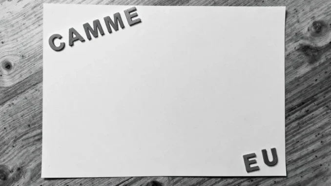 organisation-crimine